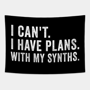 Funny I Can´t I Have Plans Synthesizer Synths Gift Tapestry