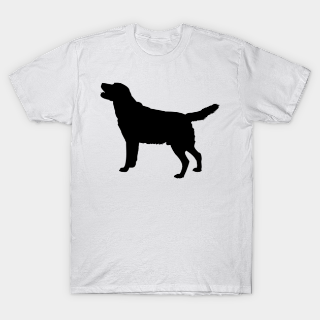 Discover Dog 19 - Dog - T-Shirt