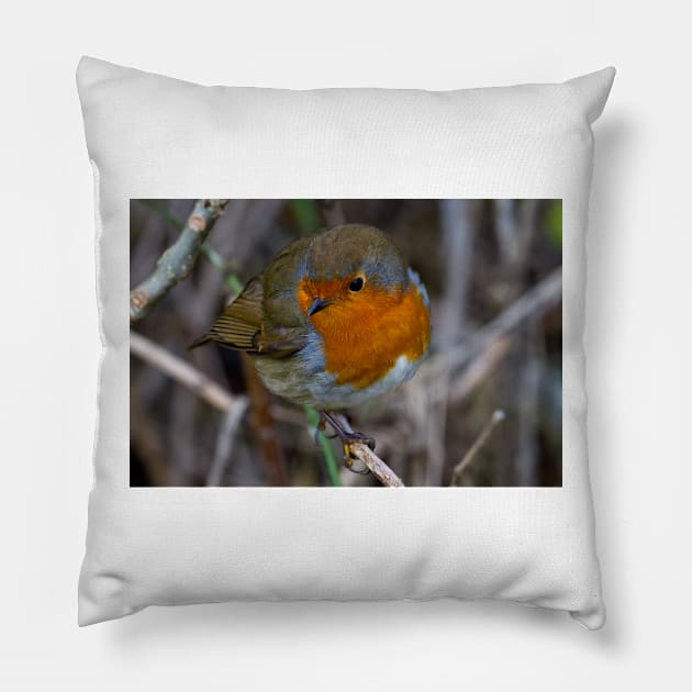 Fluffed up Robin Pillow by Violaman