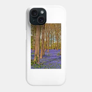 Bluebell Woods Greys Court Oxfordshire England UK Phone Case