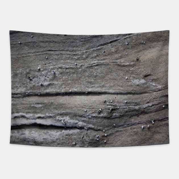 Seaside rock formation Tapestry by textural