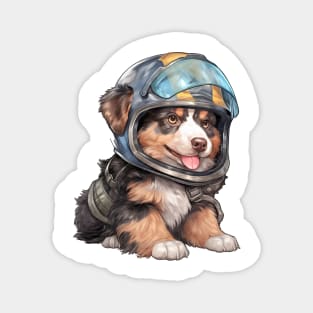 Australian Shepherd Dog in Helmet Magnet