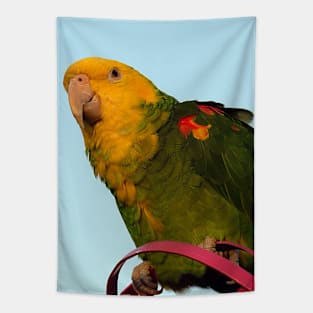 MACAW BIRD Tapestry