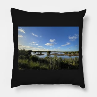 Florida Everglades Pillow