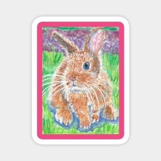 bunny rabbit Magnet