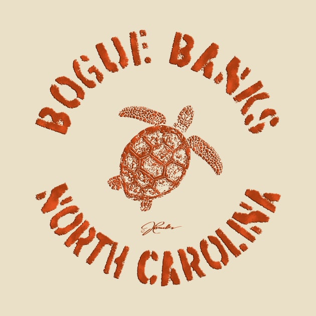 Bogue Banks, North Carolina, Sea Turtle by jcombs