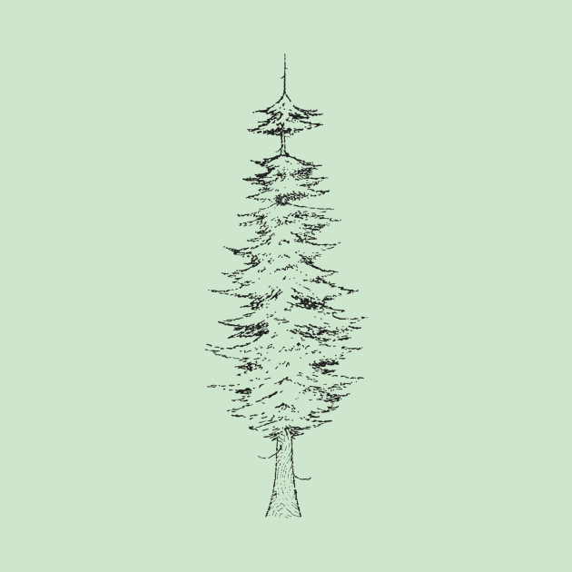 Fir tree by bridgetrolljess