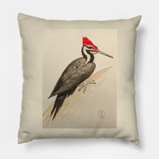 Pileated woodpecker study Pillow