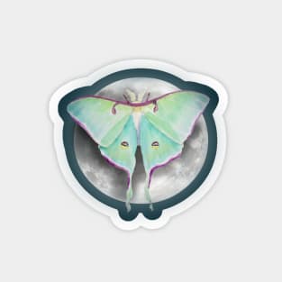 Luna Moth Magnet