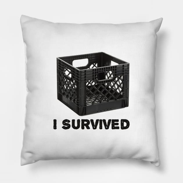 Milk Crate Challenge Pillow by karutees