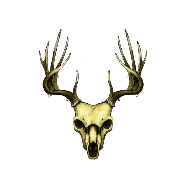 Stag Skull by LonelyWinters