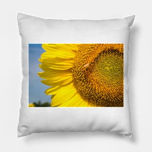 Sunflower With Bee 2 Pillow