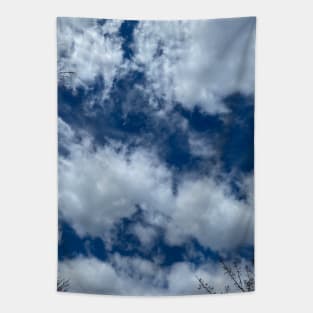 Cloudy, blue skies Tapestry