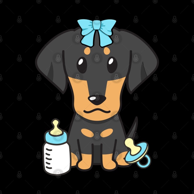 Cute dachshund is a baby by Pet Station