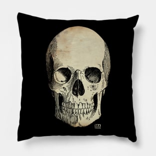 Vintage Gothic Skull Pillow