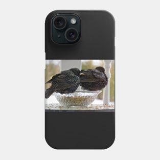 European Starling No.4 Phone Case