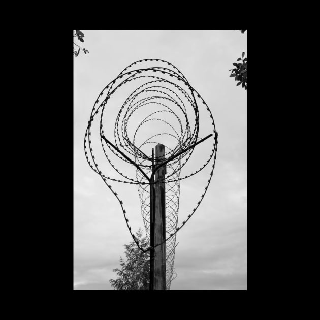 Razor Wire by opticpixil