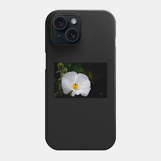 Waiting for You - Mexican Prickly Poppy Phone Case by VKPelham