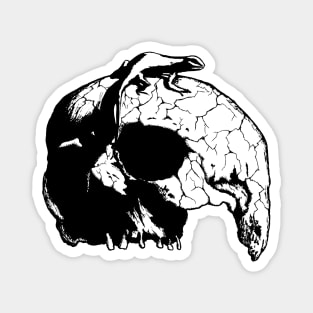 Ymir - Echoes of Decay Magnet