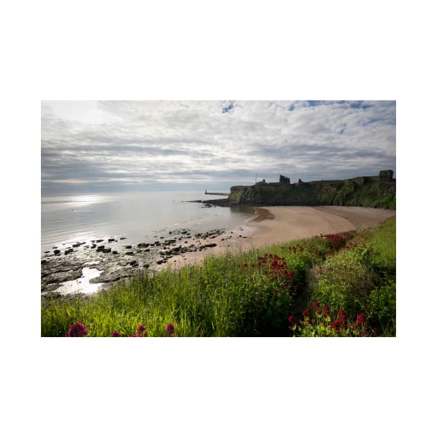 King Edward's Bay, Tynemouth by Violaman