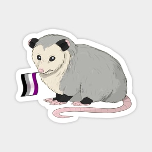 Asexual Pride Opossum Magnet