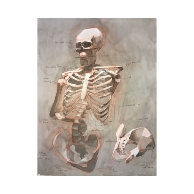 A Skeletal Study by KiellR