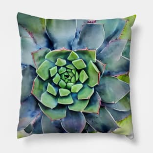 Watercolor succulent Pillow