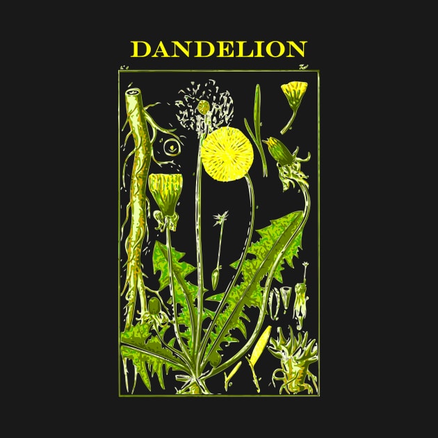 Botanical Dandelion by vintageinspired