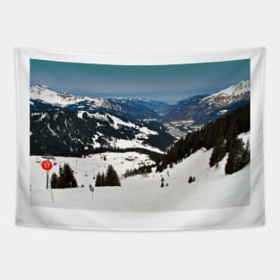 Morzine Lets Gets French Alps France Tapestry