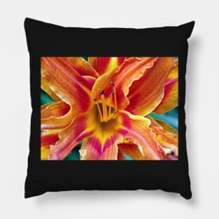 Flower Close Up Orange Lily Bloom Art, Floral Home Decor, Gifts & More! Pillow