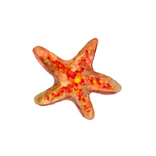 Orange Starfish T-Shirt