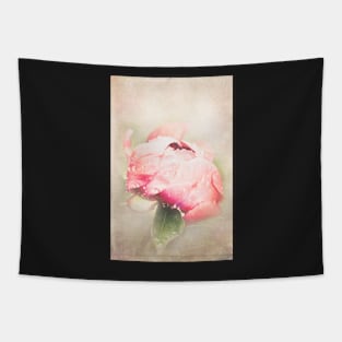 Textured photo of a pink peony Tapestry