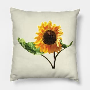 Sunflower in Sunshine Pillow