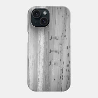 California Beach Birds Chilling on the Sunny Beach Photo V2 Phone Case