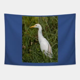 Snowy egret Tapestry