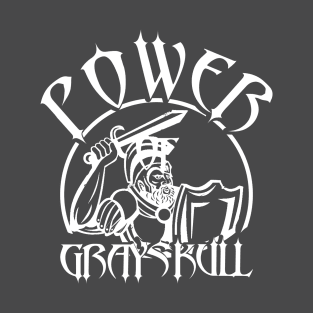 Power of Grayskull He-Man in Knight Armor T-Shirt