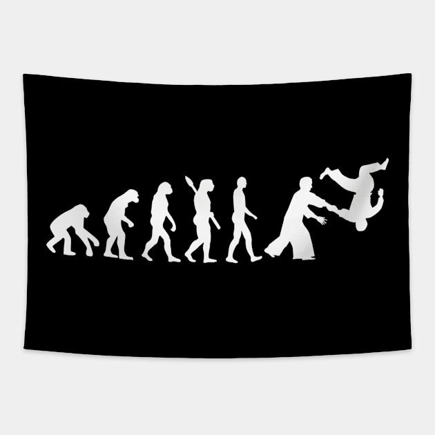 Aikido evolution Tapestry by Designzz