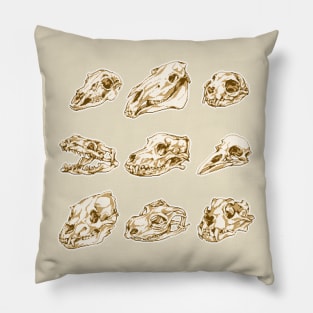 skull Pillow