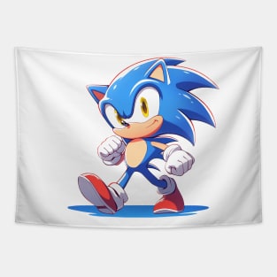 sonic Tapestry