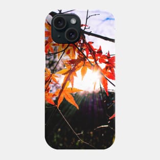 Photography - The sun tries to reach me Phone Case