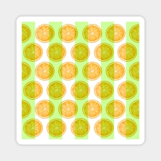 Citrus Slice and Stripes Magnet