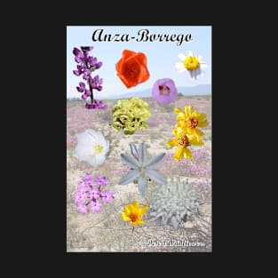 Anza-Borrego Desert Wildflowers T-Shirt