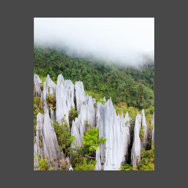 Limestone pinnacles at gunung mulu national park by Juhku