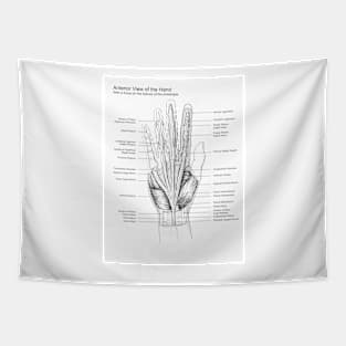 Black and White Hand Dissection Illustration Tapestry