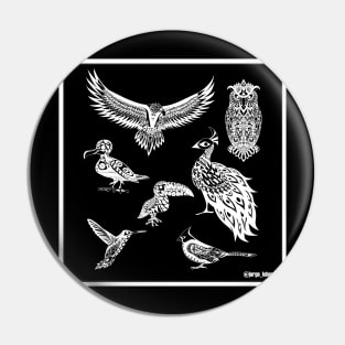 the not so angry animal square of birds in mexican totonac patterns ecopop art Pin