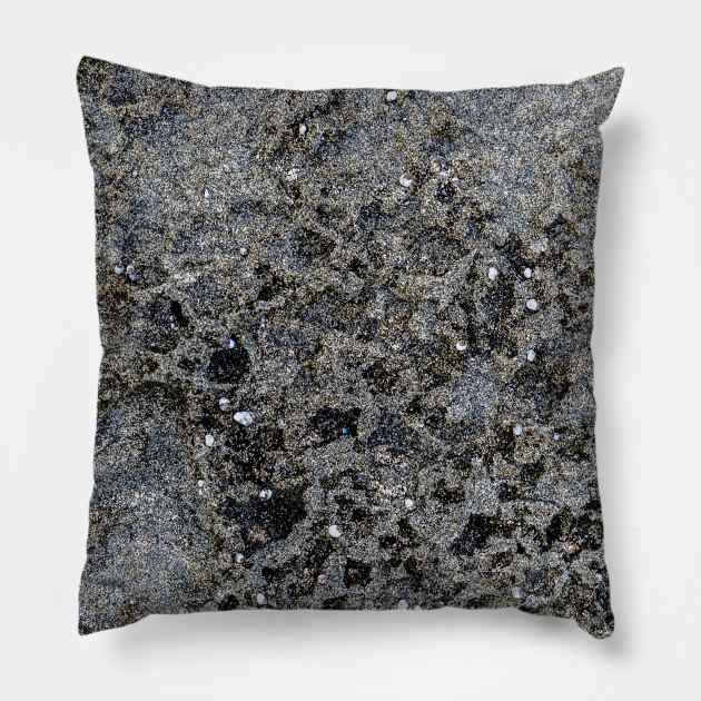 Rough Seaside Rock Texture Pillow by textural