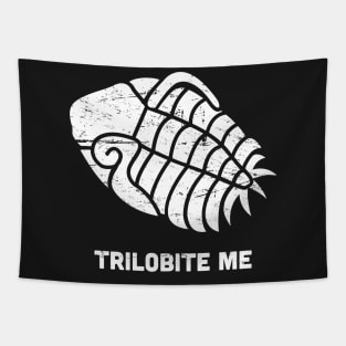 Trilobite Fossil Tapestry