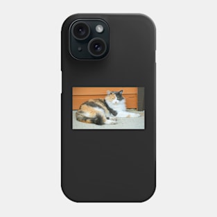 Cattitude Phone Case