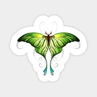 Green butterfly ( Green butterflies ) Magnet