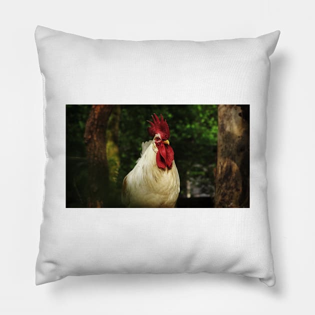 Rooster Pillow by kawaii_shop